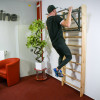 Шведська стінка inSPORTline Dremar 230 x 90см