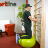 Шведська стінка inSPORTline Dremar 230 x 90см