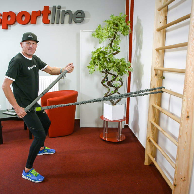 Шведська стінка inSPORTline Dremar 230 x 90см