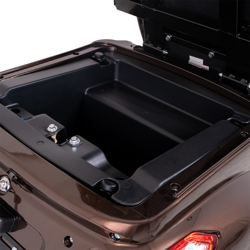 Триколісний електросамокат inSPORTline Zorica Колір Чорний